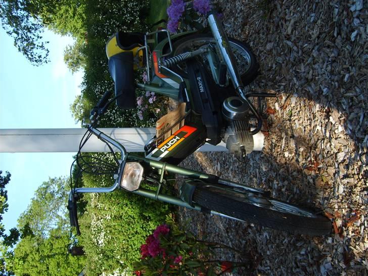 Puch maxi 2g billede 2