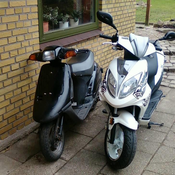 Giantco Spartan - Den store Spartan, Med den lille og RIGTIG meget hurtiger Vision billede 7