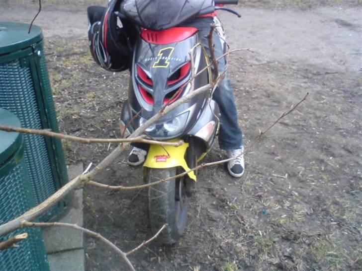 Aprilia sr50 lc Projekt billede 6