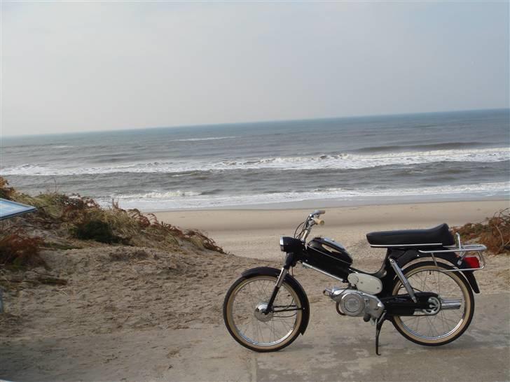 Puch MS 50   billede 1