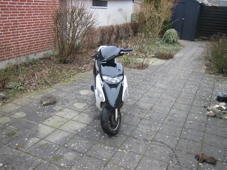 Honda Sfx * billede 2