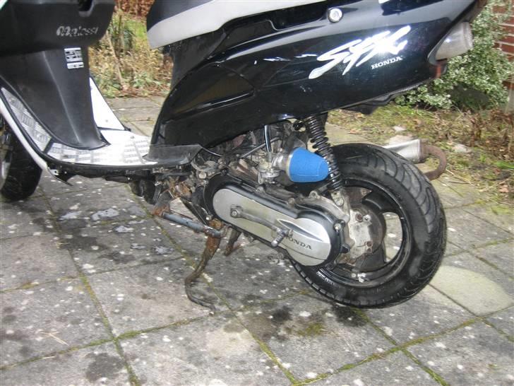 Honda Sfx * billede 3