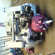 Aprilia SonRox Pata Negra (Solgt)