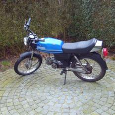 Suzuki DM50