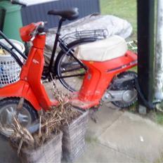 Honda MELODY stjålet
