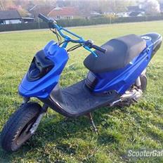 PGO EVO HOT 50  POLITIET