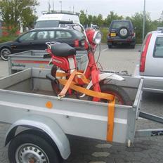 Suzuki Fz 50 (SOLGT)