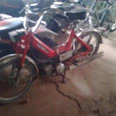 Puch Maxi K