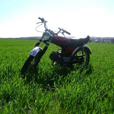 Puch Grandprix Flagskib- solgt