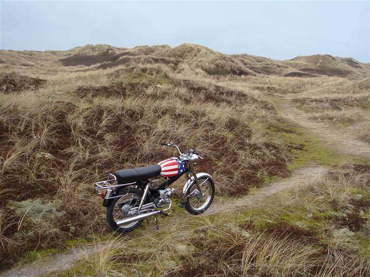 Puch vz 50 - fotgraferet i  åbent klitlandkab  billede 3