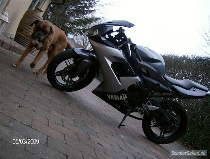 Yamaha TZR LC DD 50cc  billede 5