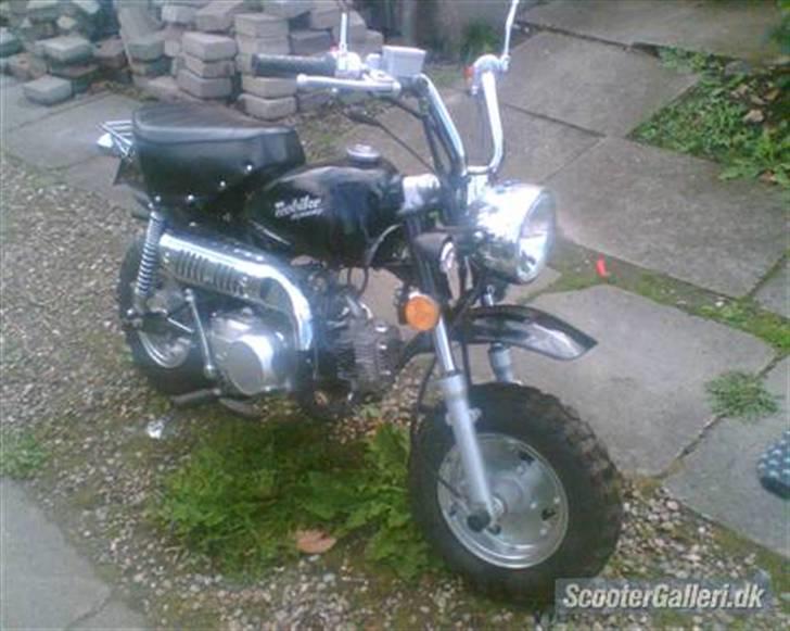 MiniBike monkey billede 1