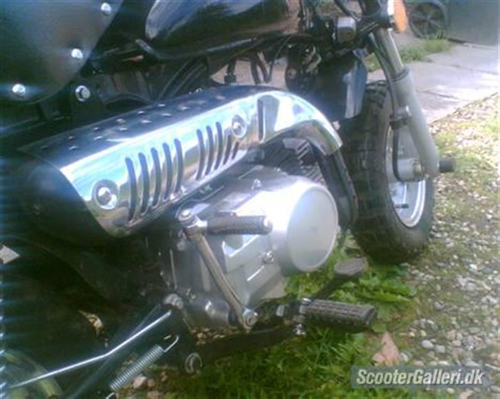 MiniBike monkey billede 5