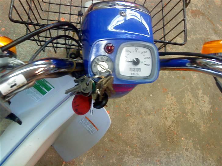 Suzuki FZ50 billede 4