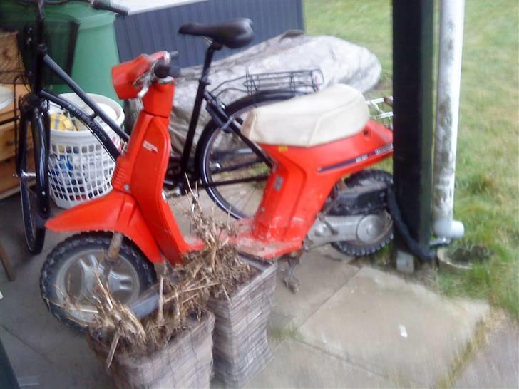 Honda MELODY stjålet billede 3