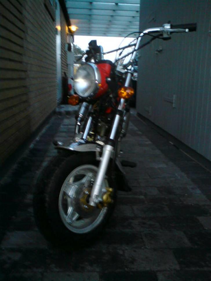 Skyteam Dax  SOLGT billede 2