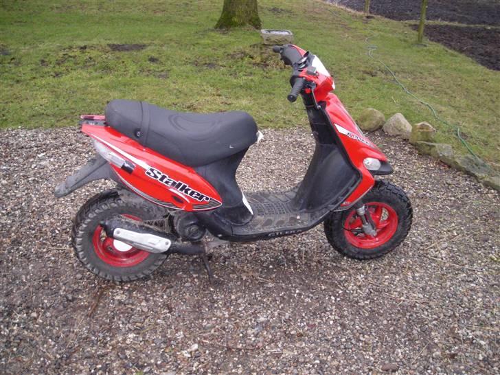 Gilera stalker (Før) billede 3