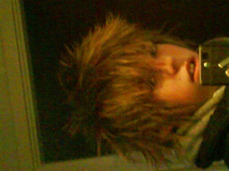 PGO Hot 50   - The Owner  ! billede 15