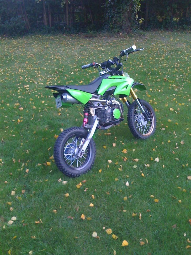 MiniBike 125cc Thumpstar **BYTTET* billede 2