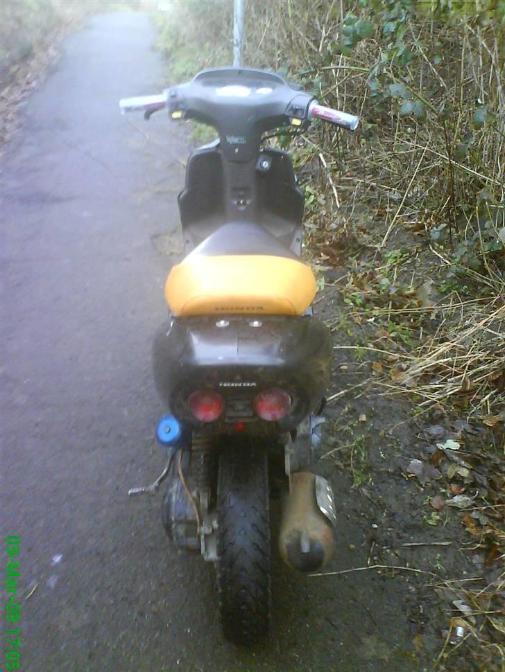 Honda Sfx Sport {Solgt} - Røv xD billede 5