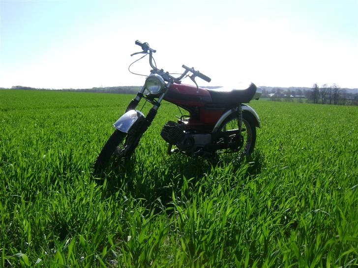 Puch Grandprix Flagskib- solgt billede 2