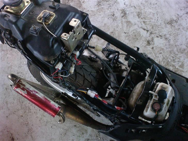 PGO hot 50 VÆK <3 billede 4