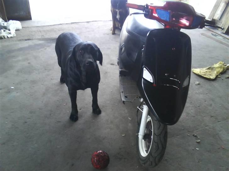 PGO Comet Byttet billede 10