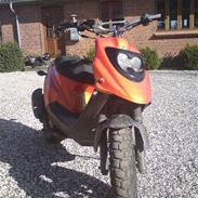 PGO Hot 50 [ hverdag ]