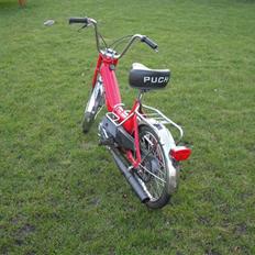 Puch maxi E50 Banejern!