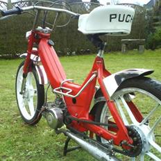 Puch maxi k <SOLGT>