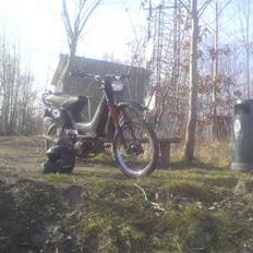 Yamaha sting byttet for monza