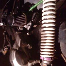 PGO EVO HOT 50  POLITIET