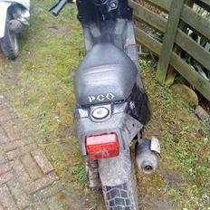 PGO Hot 50 (solgt for 4500)