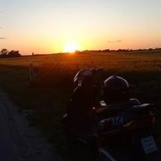 Pexma Kd50 70cc AC SD