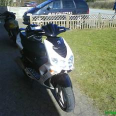 Peugeot Speedfight 2 R-Cup