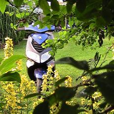 Peugeot Speedfight 2