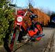 Puch Maxi K Night RiderTILSALG