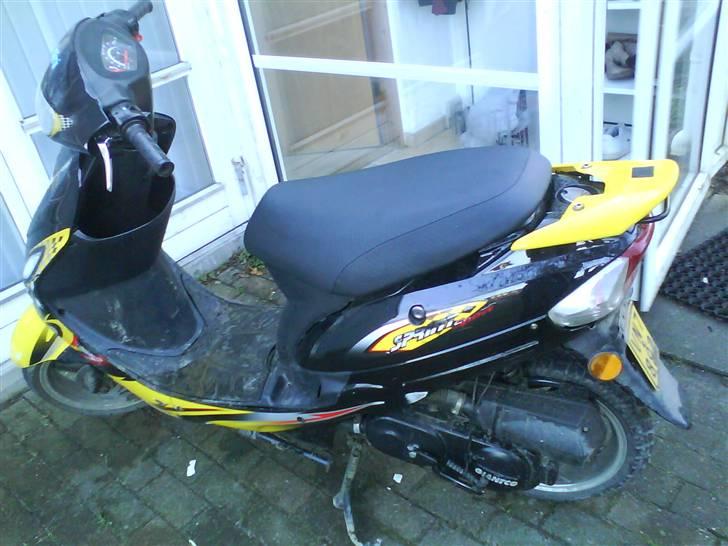 Giantco sprint sport billede 1