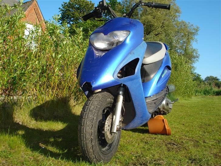 Honda SFX [ SexY] billede 1