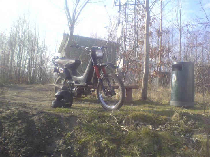 Yamaha sting byttet for monza billede 1