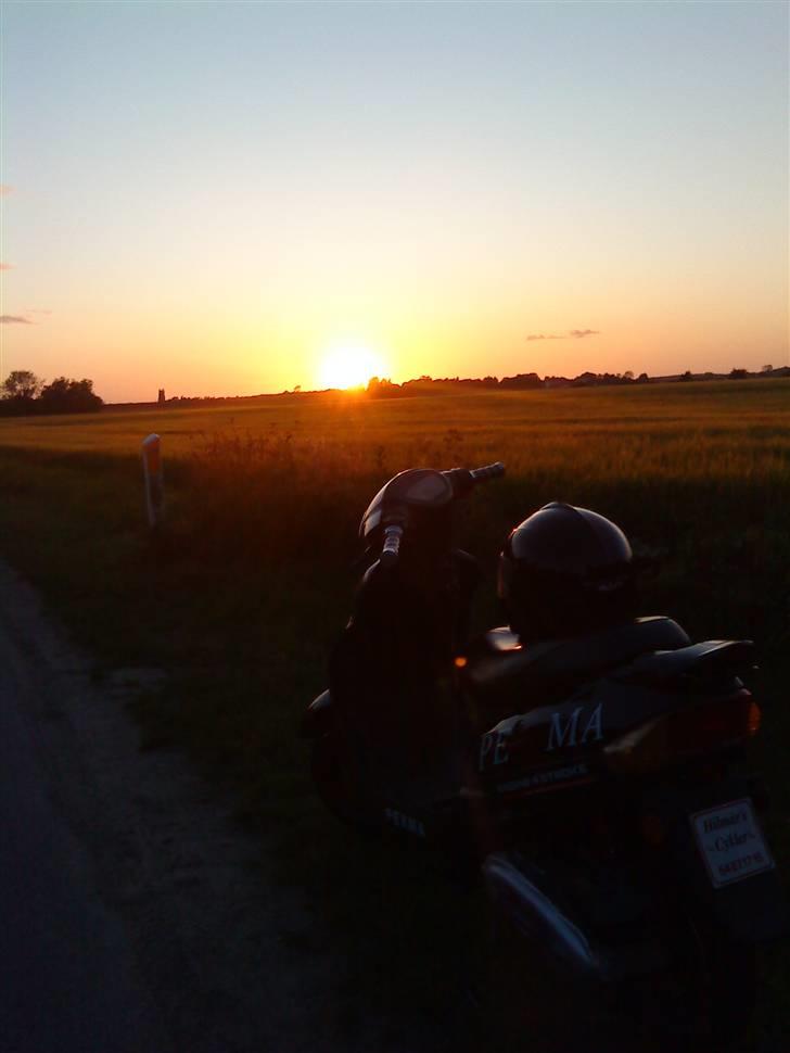 Pexma Kd50 70cc AC SD - Pex´en på en sommernat  billede 3