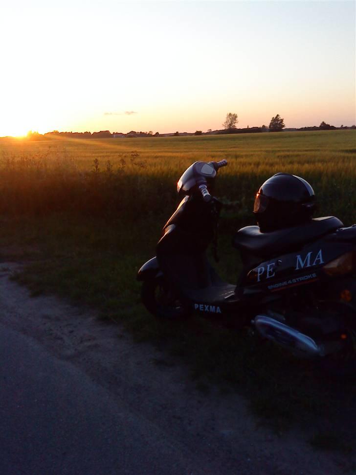 Pexma Kd50 70cc AC SD - Pex´en på en sommernat  billede 4