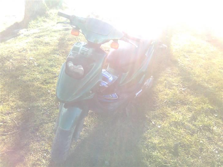 PGO Hot 50 billede 4