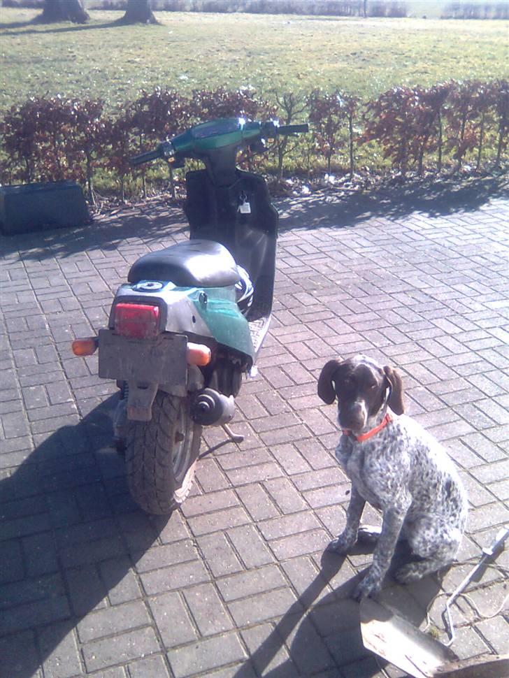 PGO Hot 50 billede 9