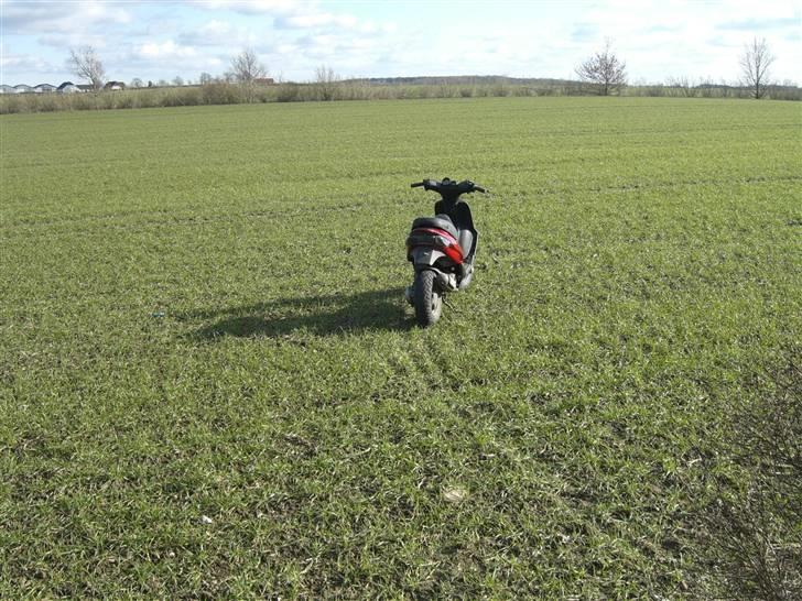 Gilera Stalker EFTER billede 2