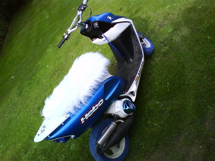 Honda Sfx AC Projekt 09 billede 1