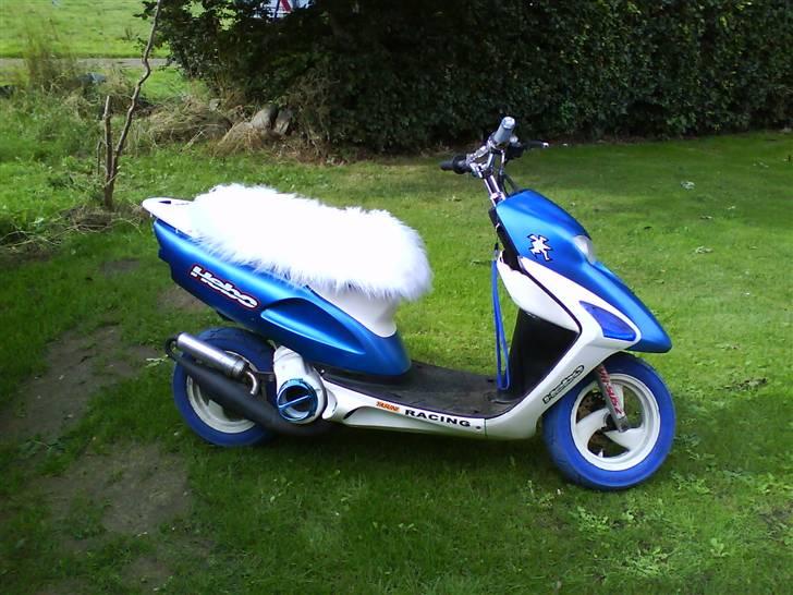 Honda Sfx AC Projekt 09 billede 2