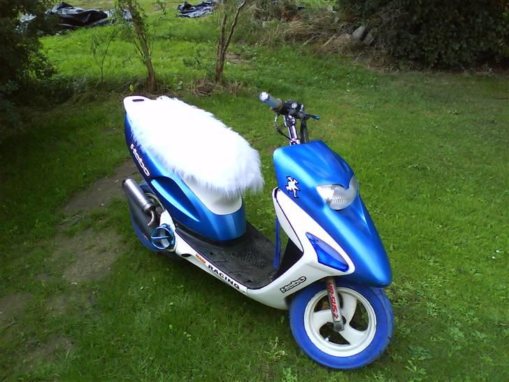 Honda Sfx AC Projekt 09 billede 6