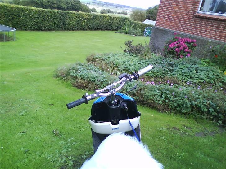 Honda Sfx AC Projekt 09 billede 7