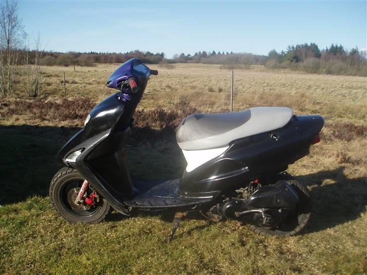 Honda SFX *før* - Sfx´en :D  Fra siden xD  billede 1